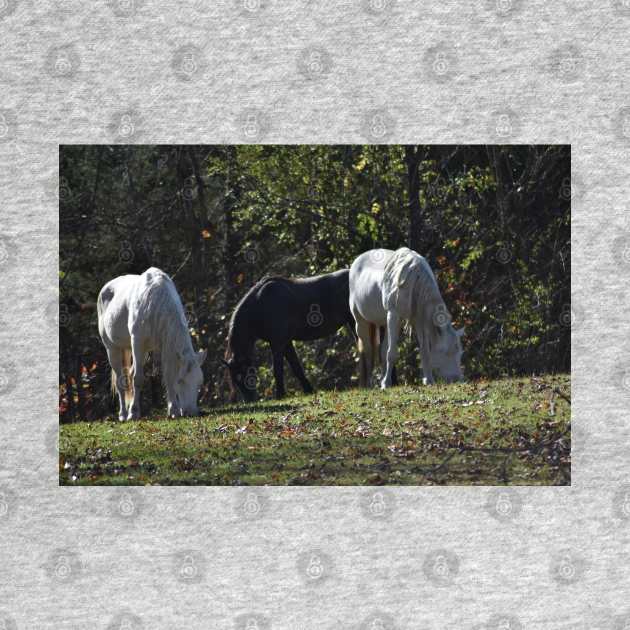 Wild Horse Herd by MarieDarcy